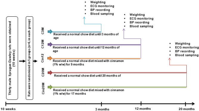 The effects of advanced age on electrocardiographic parameters, lipid profile and redox balance in male rats: role of long-term cinnamon consumption.
