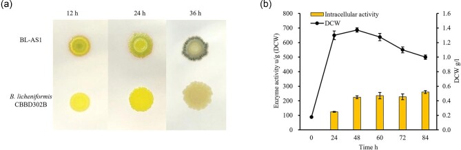 Secretory expression of amylosucrase in Bacillus licheniformis through twin-arginine translocation pathway.
