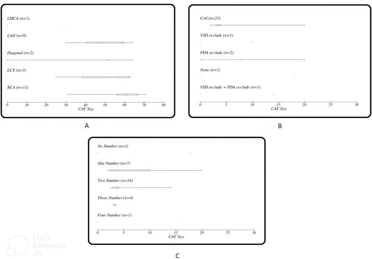 Clinical outcomes of transcatheter closure of congenital coronary artery fistula in 28 cases.
