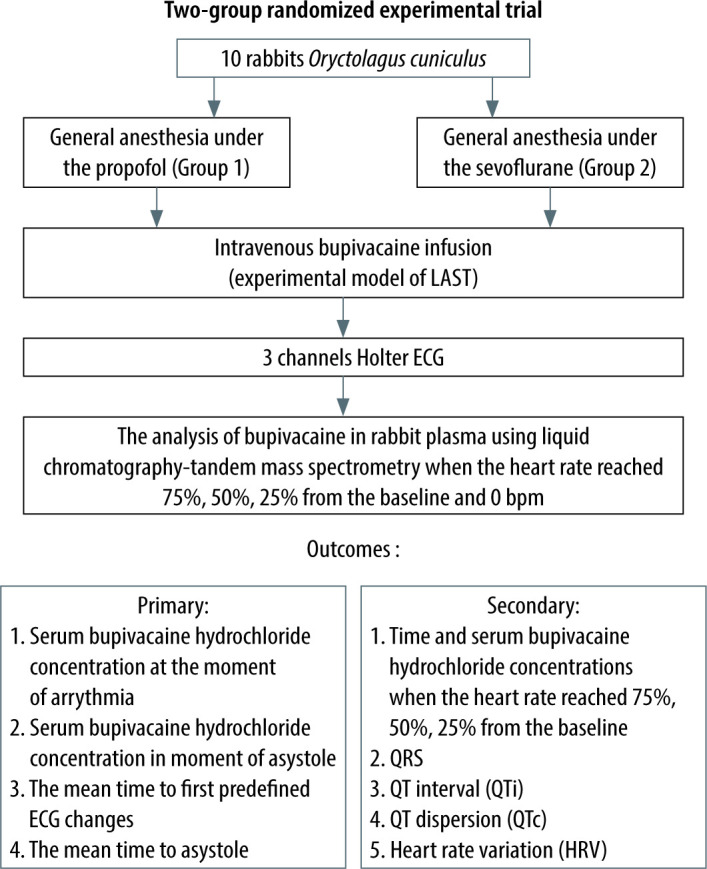 摘要图片