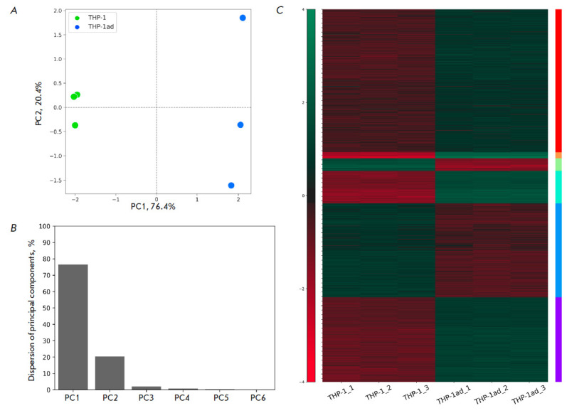 Studying Signaling Pathway Activation in TRAIL-Resistant Macrophage-Like Acute Myeloid Leukemia Cells.