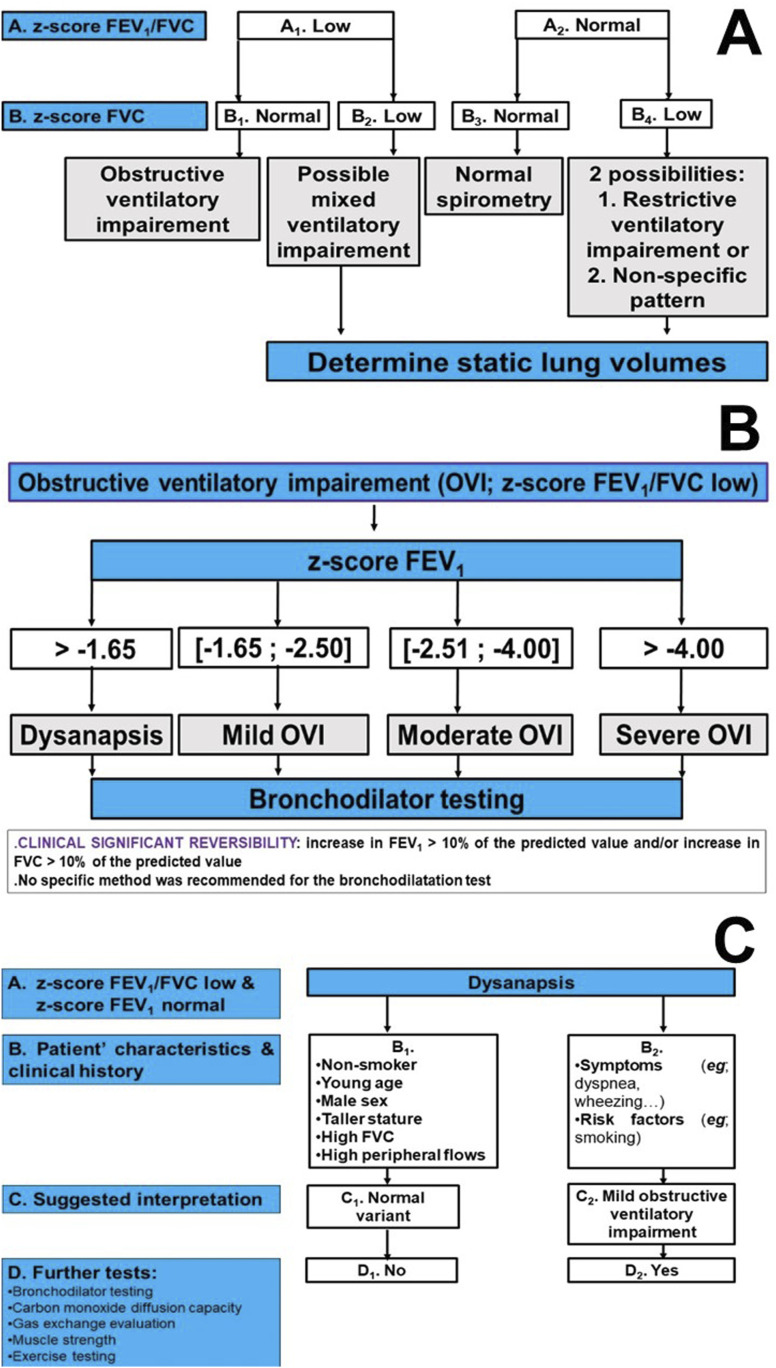 Routine pulmonary lung function tests: Interpretative strategies and challenges.