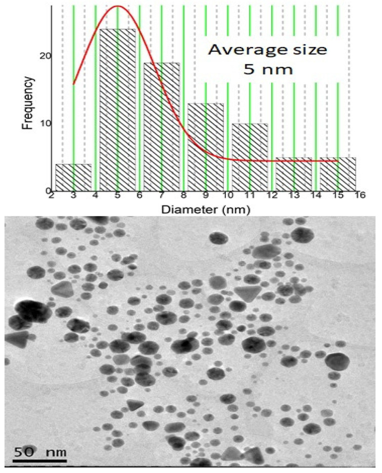 Radioactive gold nanoparticles coated with BSA: A promising approach for prostate cancer treatment.