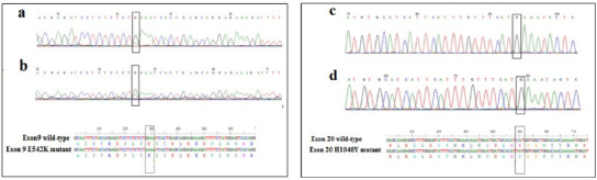A novel PIK3CA hot-spot mutation in breast cancer patients detected by HRM-COLD-PCR analysis.