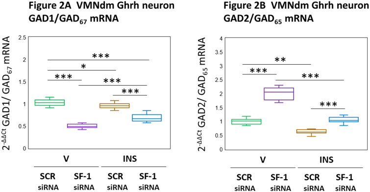Dorsomedial Ventromedial Hypothalamic Nucleus Growth Hormone-Releasing Hormone Neuron Steroidogenic Factor-1 Gene Targets in Female Rat.
