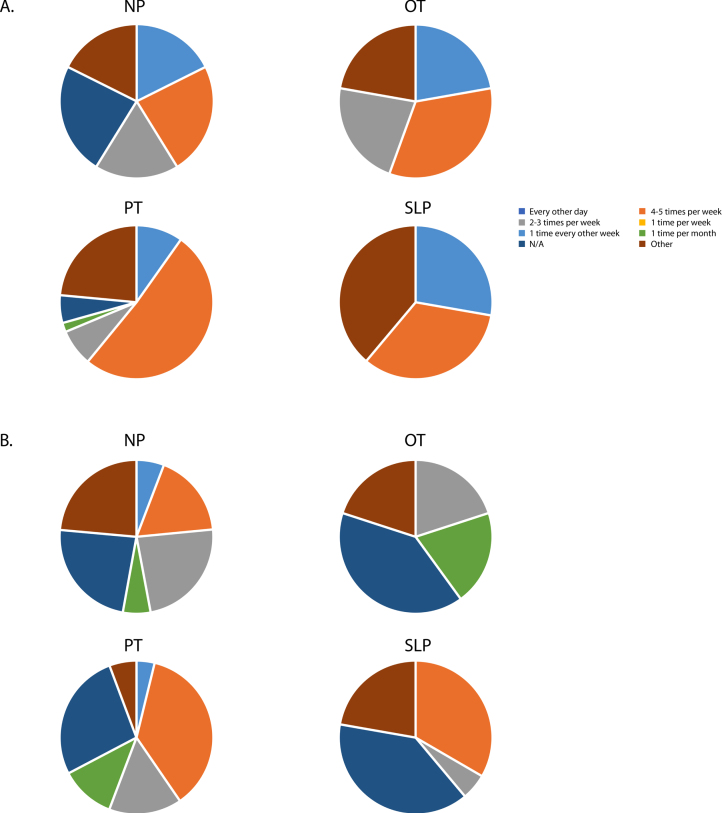 REhabilitation Approaches in CHildren with cerebellar mutism syndrome (REACH): An international cross-disciplinary survey study.