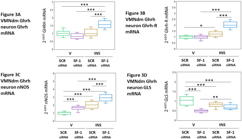 Dorsomedial Ventromedial Hypothalamic Nucleus Growth Hormone-Releasing Hormone Neuron Steroidogenic Factor-1 Gene Targets in Female Rat.