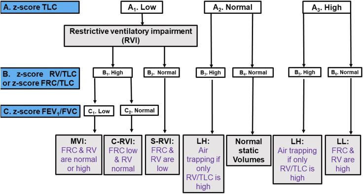 Routine pulmonary lung function tests: Interpretative strategies and challenges.