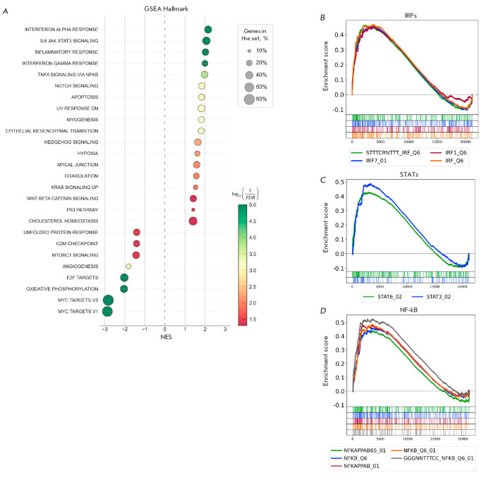 Studying Signaling Pathway Activation in TRAIL-Resistant Macrophage-Like Acute Myeloid Leukemia Cells.