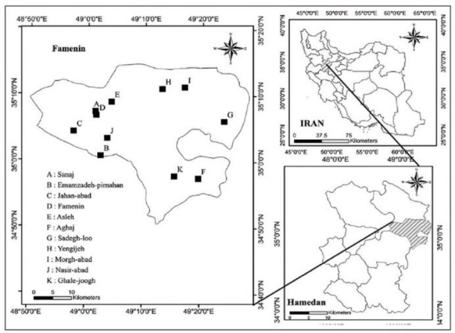 Detection of <i>Brucella</i> infection in raw milk of livestock in Famenin, West part of Iran.