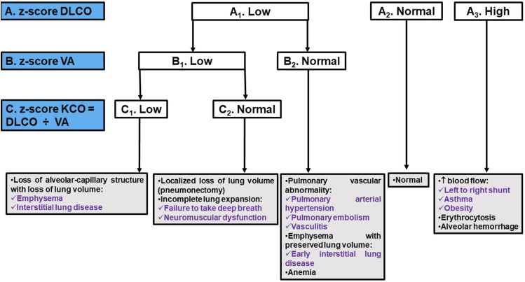 Routine pulmonary lung function tests: Interpretative strategies and challenges.