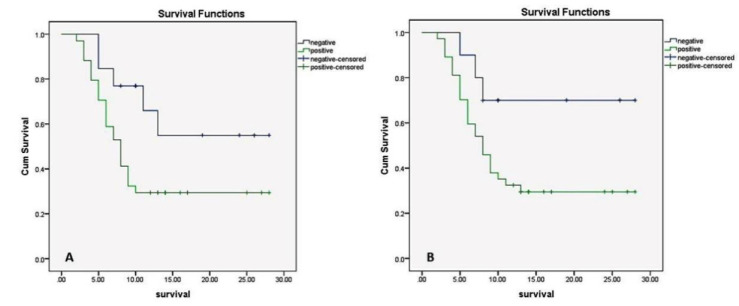 Regulation of Tumor Vascular Microenvironment by Nestin and Fms-related Tyrosine Kinase 1 (FLT1) and Their Prognostic Significance in Renal Cell Carcinoma.