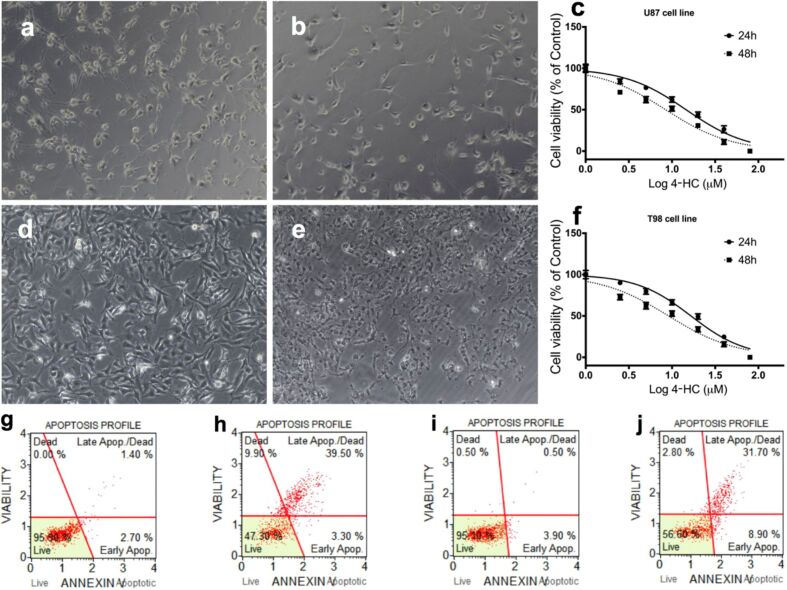 Cyclophosphamide stimulates endoplasmic reticulum stress and induces apoptotic cell death in human glioblastoma cell lines.