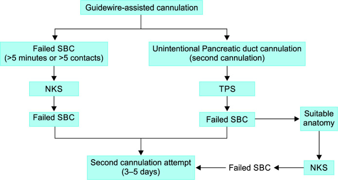 Combination of Precut Techniques in Difficult Biliary Cannulation.