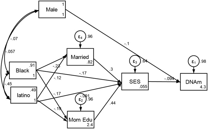 Poverty Status at Birth Predicts Epigenetic Changes at Age 15.
