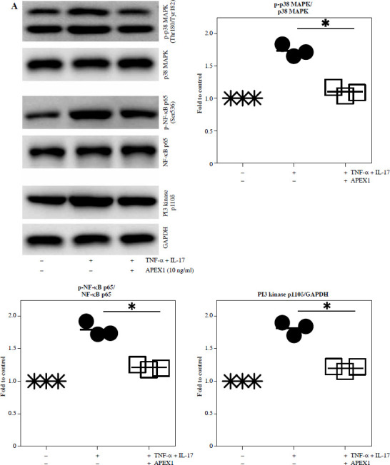 Apurinic/apyrimidinic endonuclease 1 alleviates inflammation in fibroblast-like synoviocytes from patients with rheumatoid arthritis.