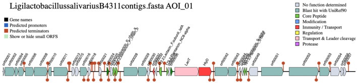Complete genome sequence of bacteriocin-producing <i>Ligilactobacillus salivarius</i> B4311 isolated from fecal samples of broiler chicken with anti-listeria activity.