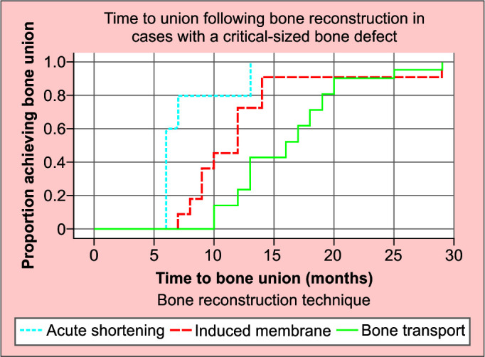 Critical Bone Defect Affecting the Outcome of Management in Anatomical Type IV Chronic Osteomyelitis.