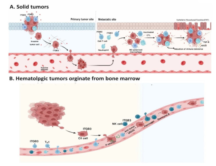 Increased Expression of ITGB 3 in CLL Patient leukemia Cells by Exposure to Cold Physical Plasma and Plasma-treated Medium.