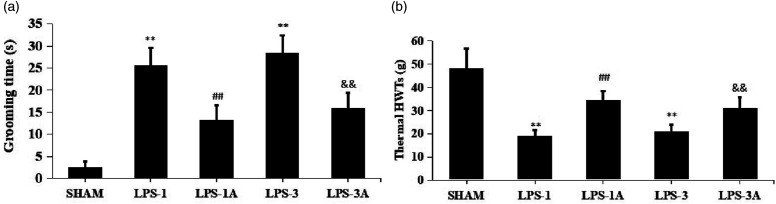 Acute pulpitis promotes purinergic signaling to induce pain in rats via P38MAPK/NF-κB signaling pathway.