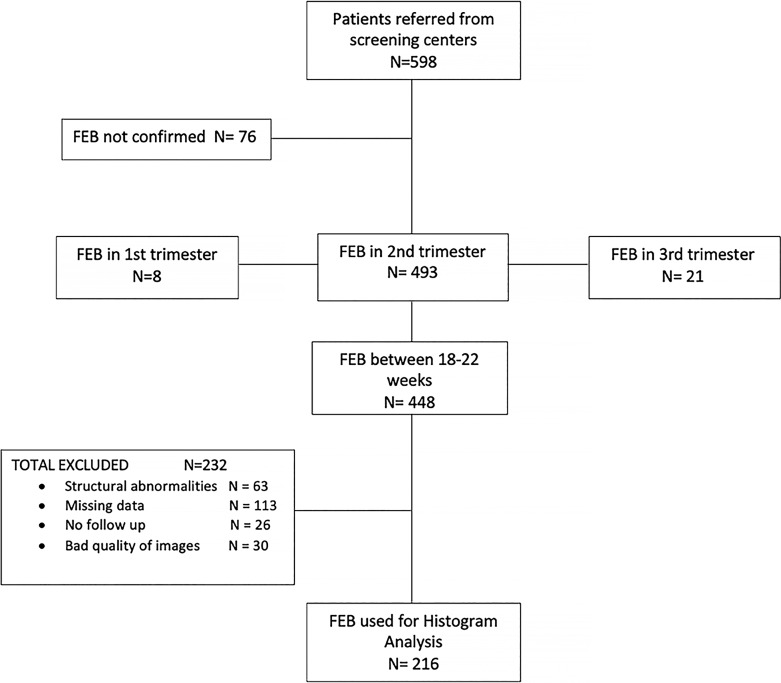 Fetal Echogenic Bowel: What Is Real Echogenicity? A Quantitative Method Based on Histogram Analysis of the Grayscale.