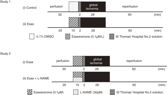 Additive Effects of Esaxerenone, a Nonsteroidal Mineralocorticoid Receptor Blocker, on Cardioplegic Arrest in Rat Hearts.
