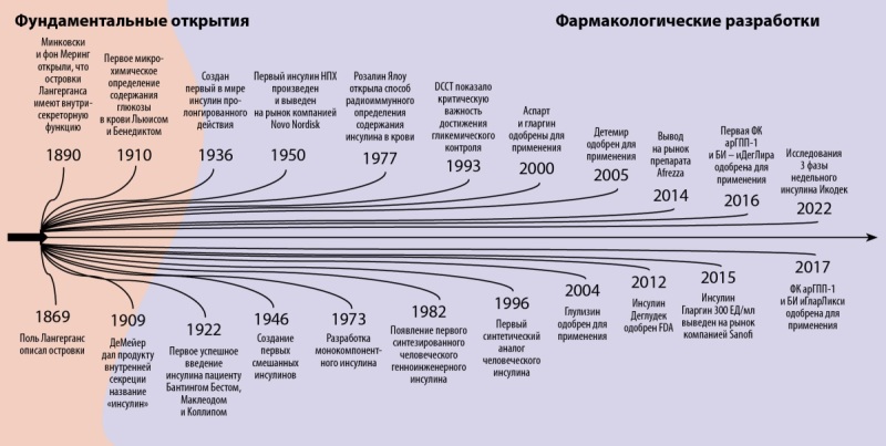 [Evolution of insulin therapy: past, present, future].
