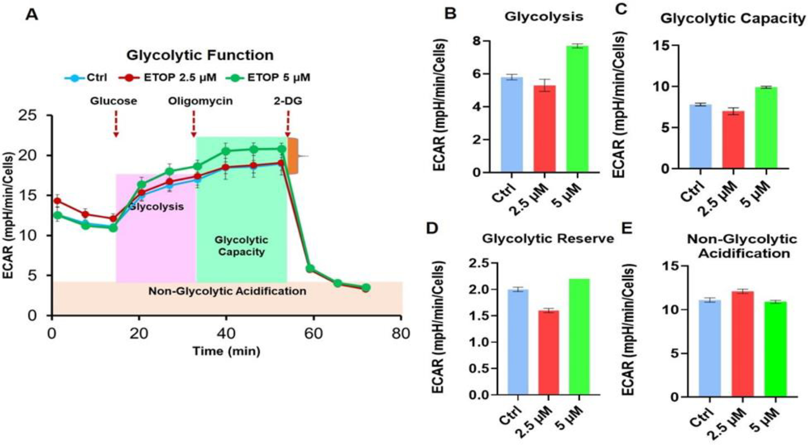 Effects of Topoisomerase II alpha Inhibition on Oral Cancer Cell Metabolism and Cancer Stem Cell Function.