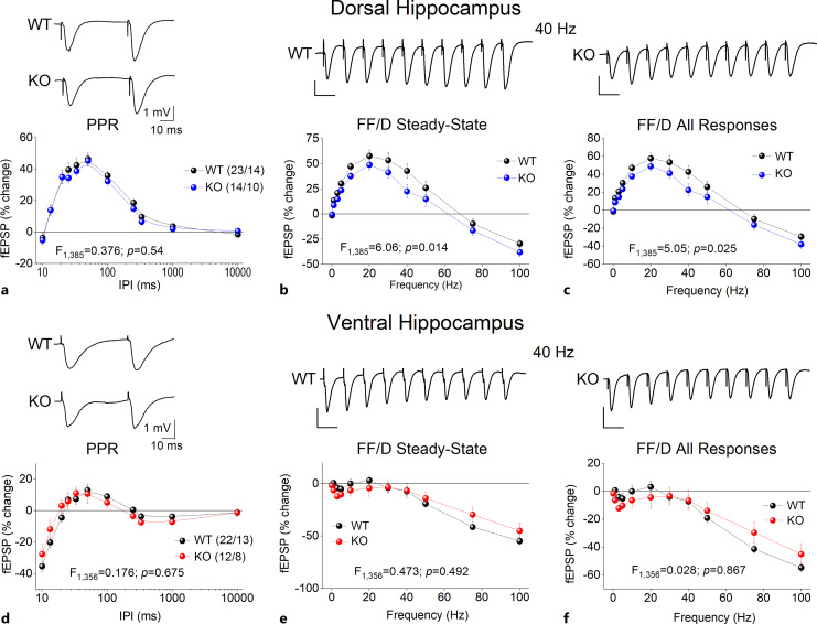 Septotemporal Variation of Information Processing in the Hippocampus of Fmr1 KO Rat.