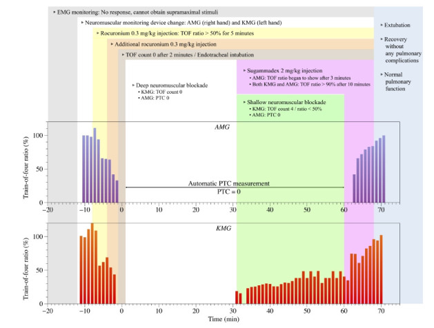 ﻿Neuromuscular monitoring of a patient with Charcot-Marie-Tooth disease; which monitoring technique is adequate? - A case report and literature review.