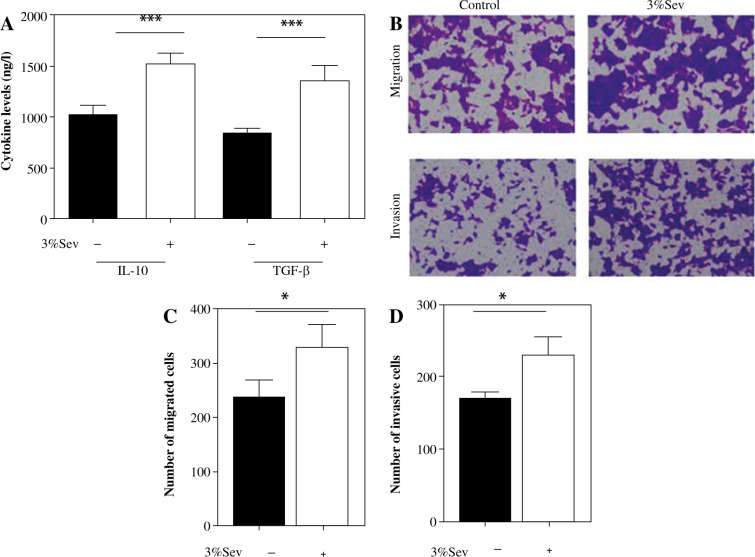 The N6-methyladenosine pattern of MAP3K7 mediates the effects of sevoflurane on macrophage M2 polarization and cervical cancer migration and invasion.