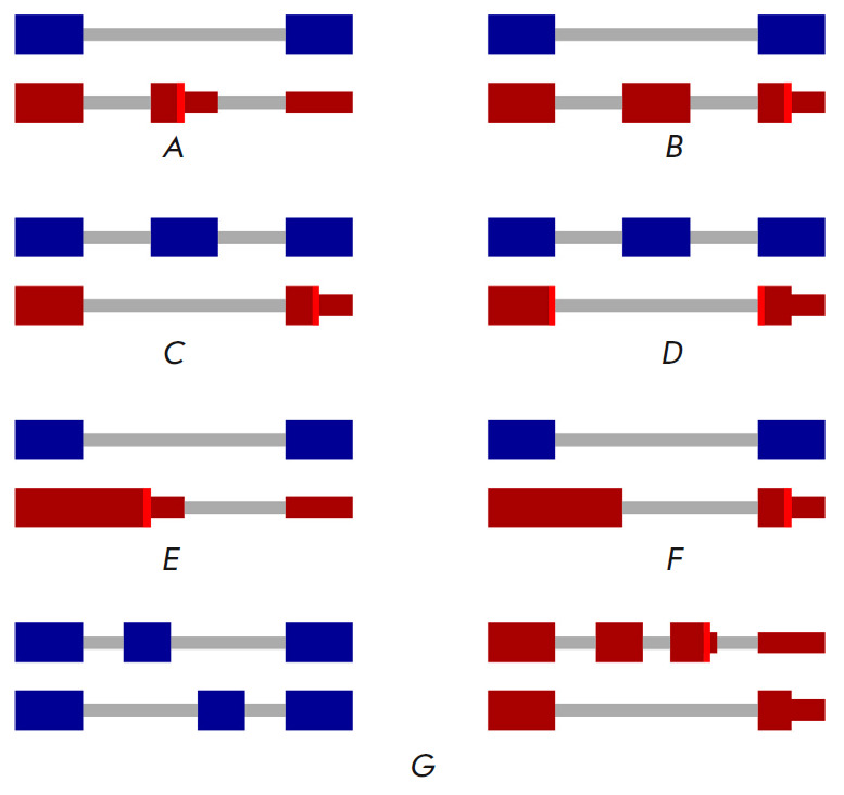 Post-transcriptional Regulation of Gene Expression via Unproductive Splicing.