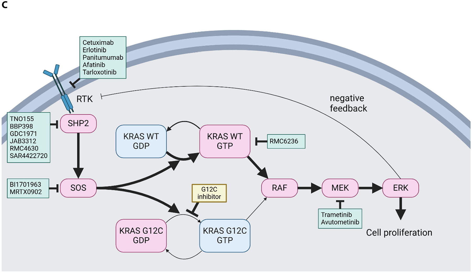 Combining EGFR and KRAS G12C Inhibitors for KRAS G12C Mutated Advanced Colorectal Cancer.