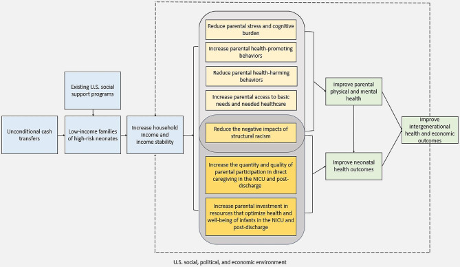 Unconditional cash transfers for preterm neonates: evidence, policy implications, and next steps for research.