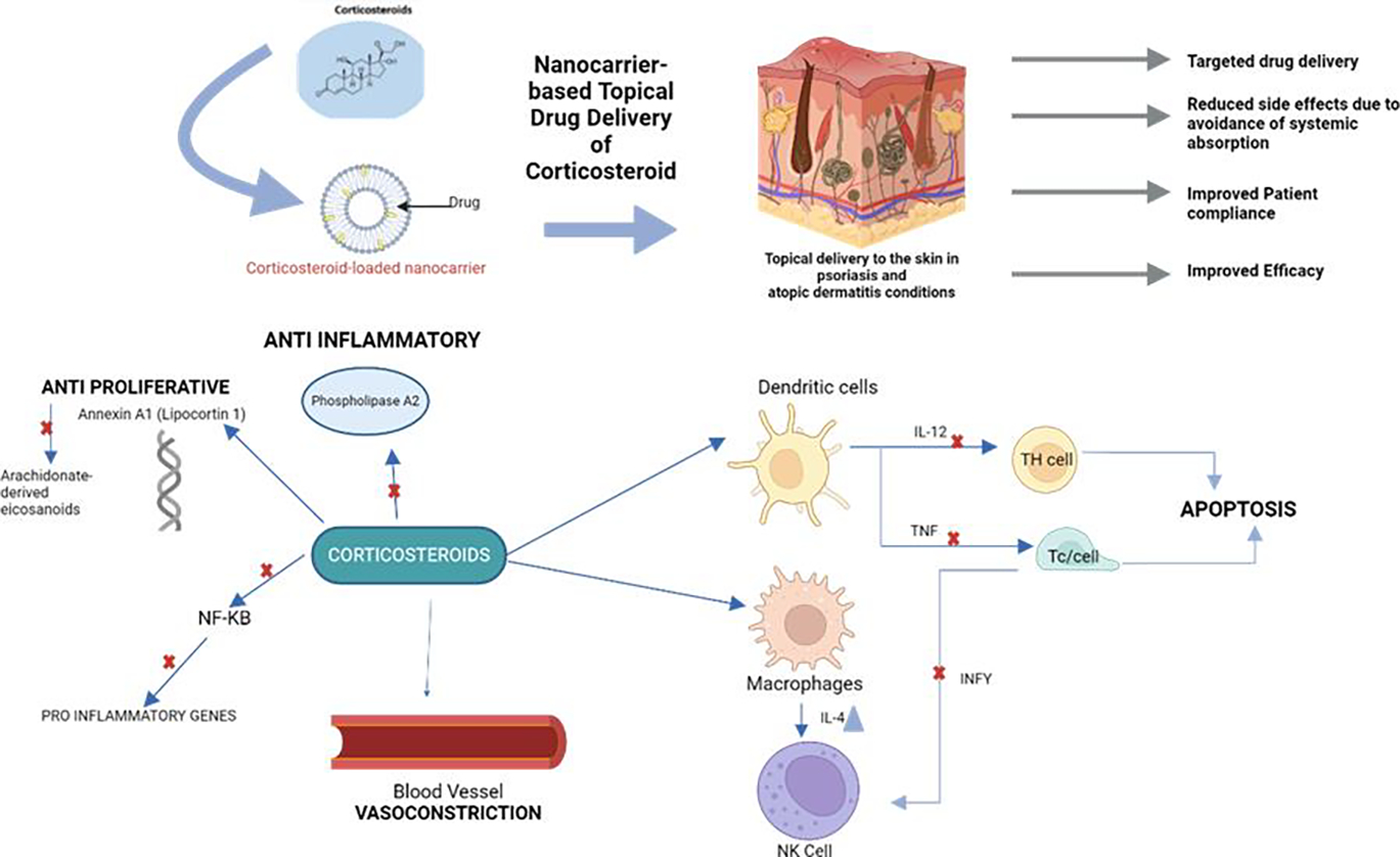 Exploring the Complexities of Atopic Dermatitis: Pathophysiological Mechanisms and Therapeutic Approaches.