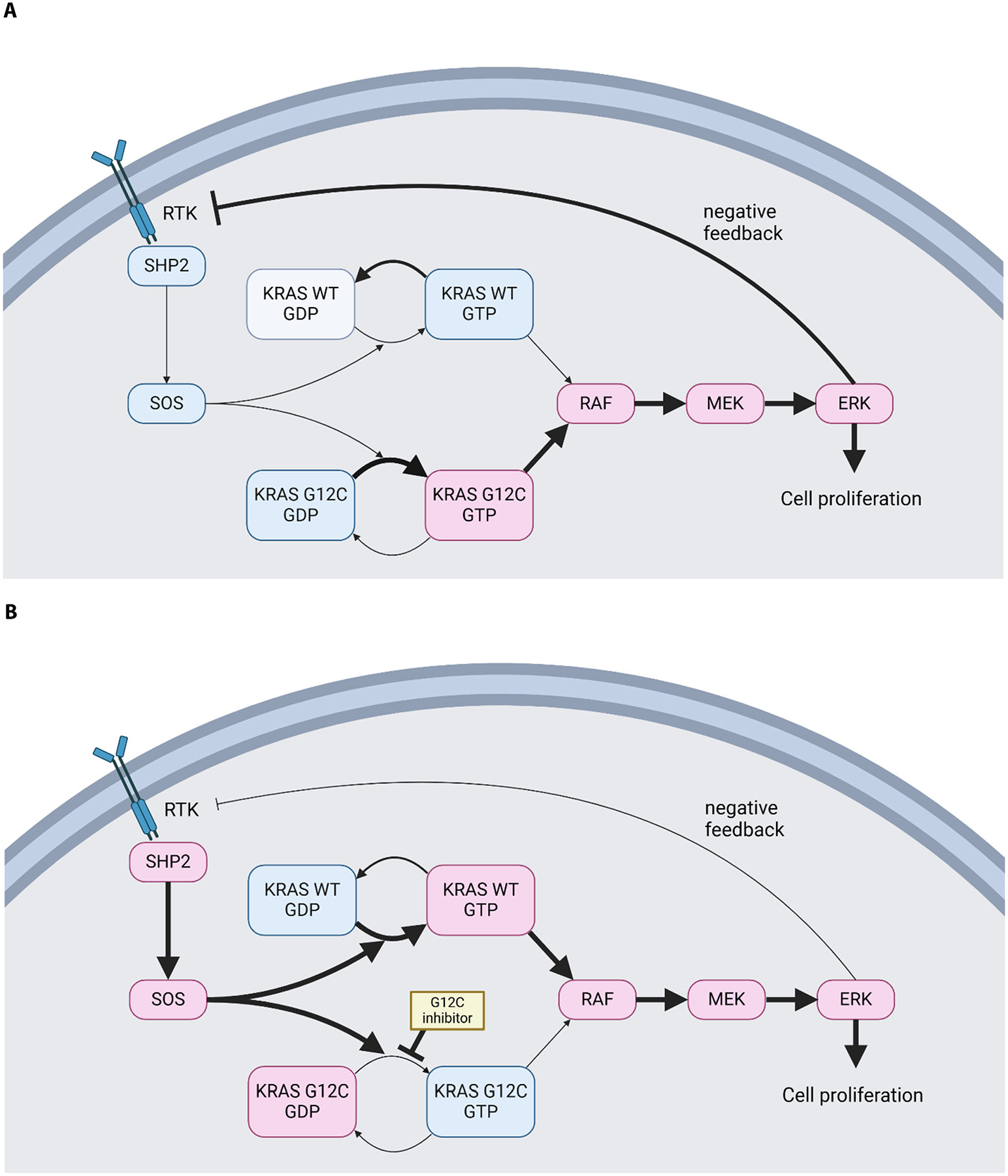 Combining EGFR and KRAS G12C Inhibitors for KRAS G12C Mutated Advanced Colorectal Cancer.