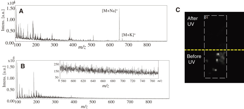 Direct Additive Detection in Polymer Films via Platinum-Assisted SALDI Mass Spectrometry Imaging.