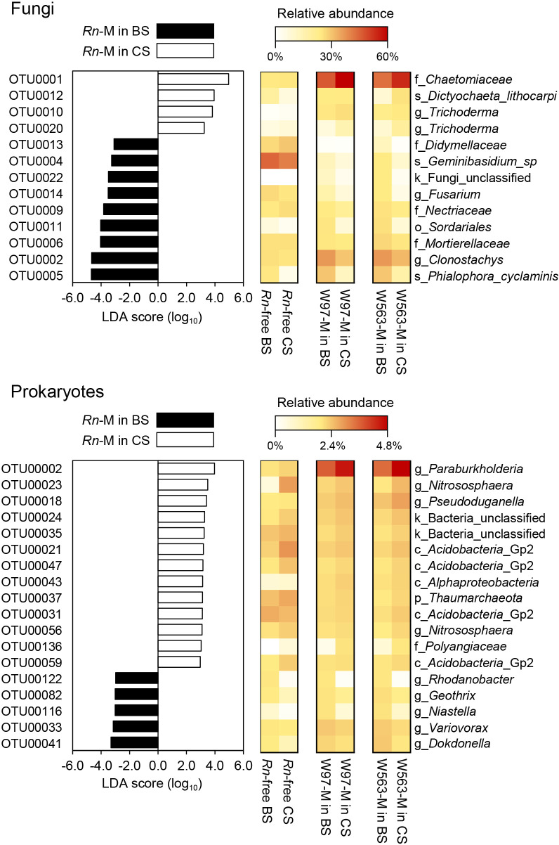 Evaluation of Soil Antagonism against the White Root Rot Fungus Rosellinia necatrix and Pathogen Mycosphere Communities in Biochar-amended Soil.