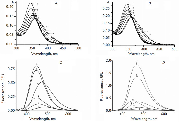 Dimeric Bis-Benzimidazole-Pyrroles DB2Py(n) - AT-Site-Specific Ligands: Synthesis, Physicochemical Analysis, and Biological Activity.