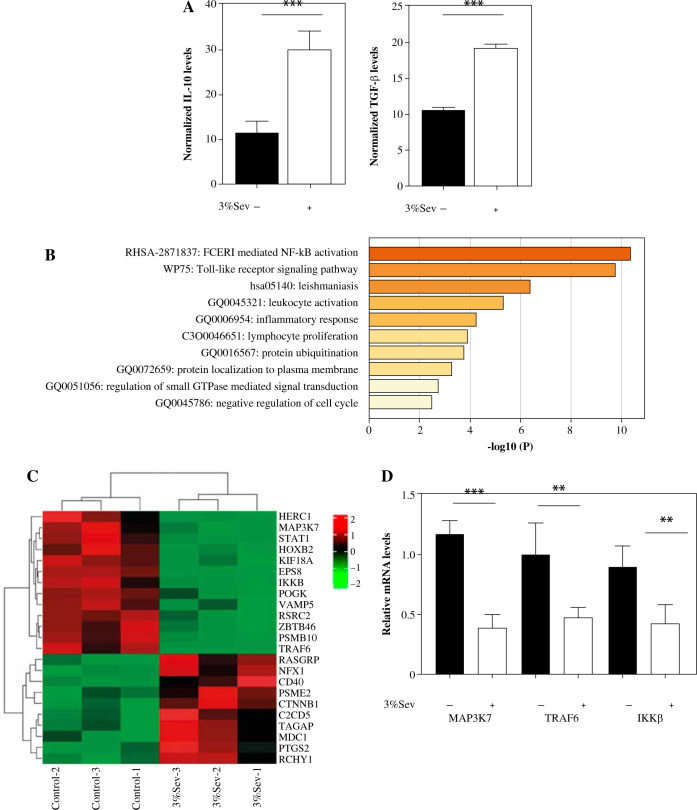 The N6-methyladenosine pattern of MAP3K7 mediates the effects of sevoflurane on macrophage M2 polarization and cervical cancer migration and invasion.
