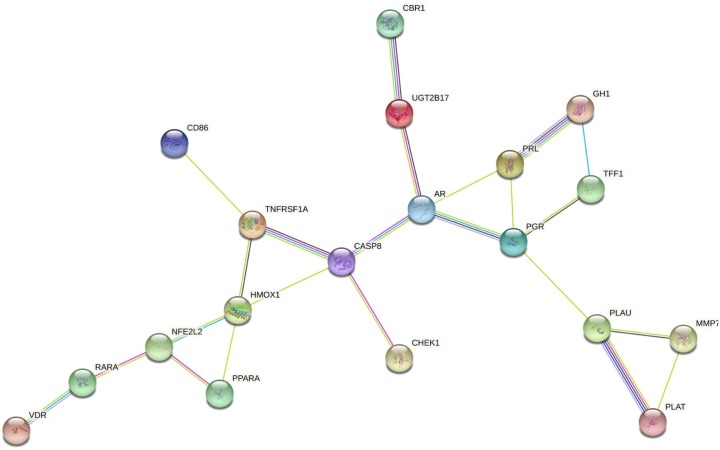 In silico network pharmacology study on Glycyrrhiza glabra: Analyzing the immune-boosting phytochemical properties of Siddha medicinal plant against COVID-19.