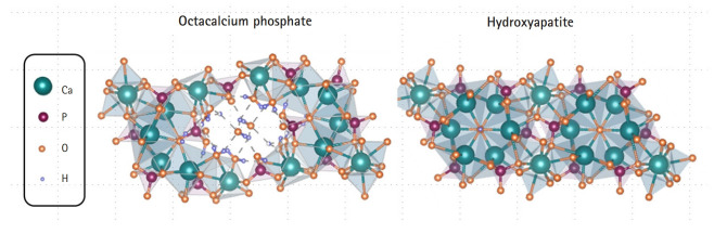 Octacalcium phosphate, a promising bone substitute material: a narrative review.
