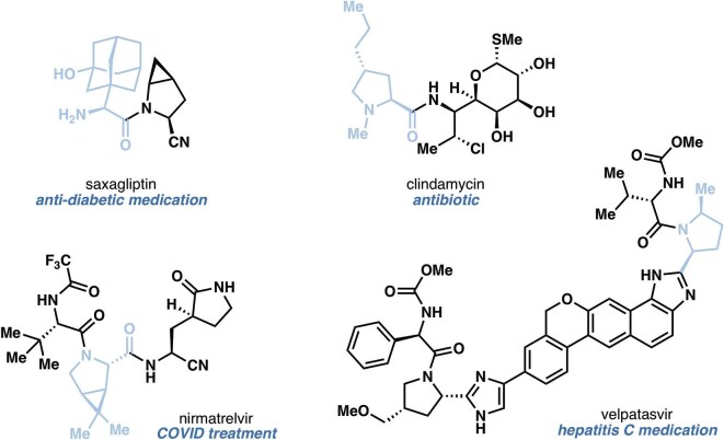 One-pot chemoenzymatic syntheses of non-canonical amino acids.