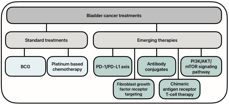 Emerging molecular therapies in the treatment of bladder cancer.