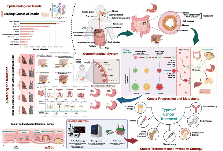 Global burden of five major types of gastrointestinal cancer.