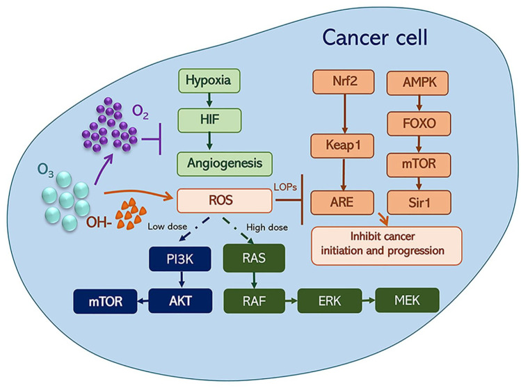 Ozone Therapy for Breast Cancer: An Integrative Literature Review.