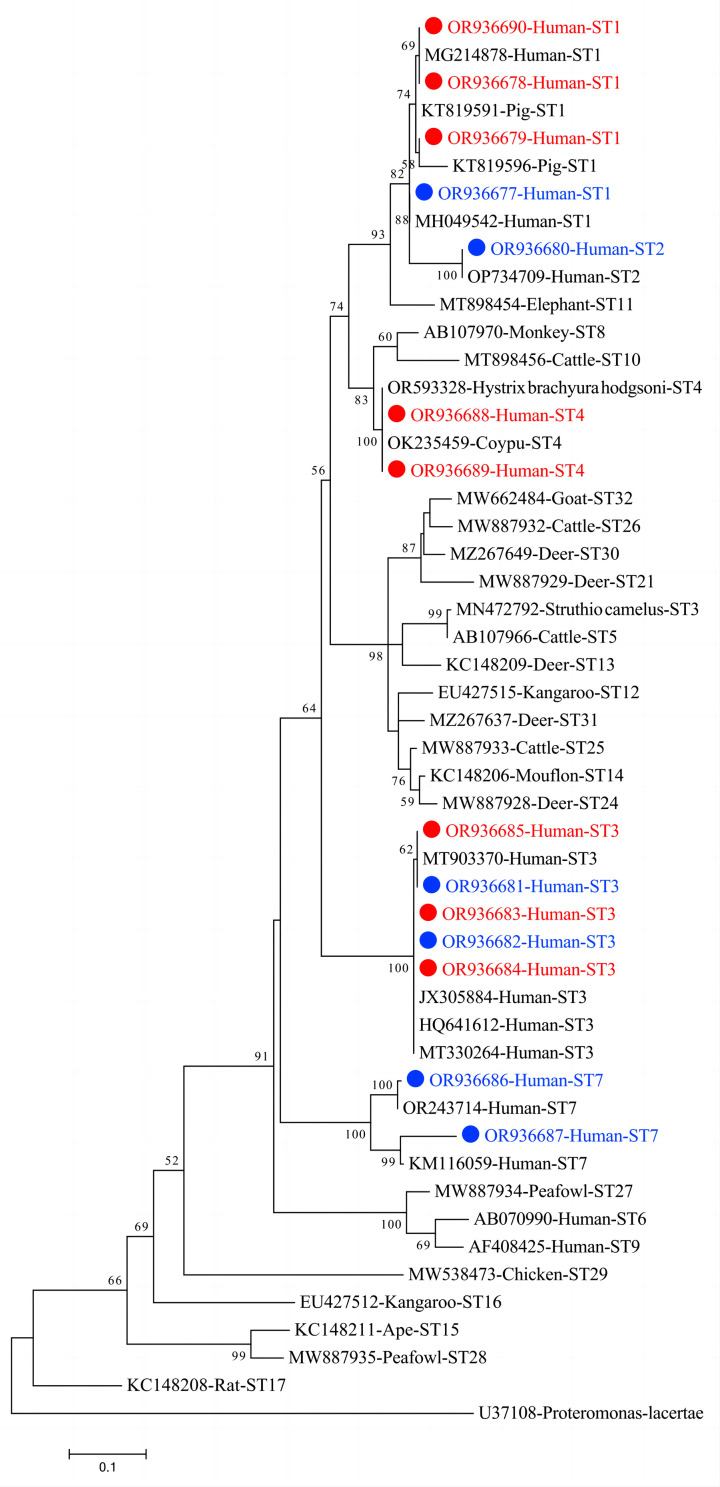 Molecular prevalence and subtype distribution of Blastocystis spp. among children who have diarrheia or are asymptomatic in Wenzhou, Zhejiang Province, China.