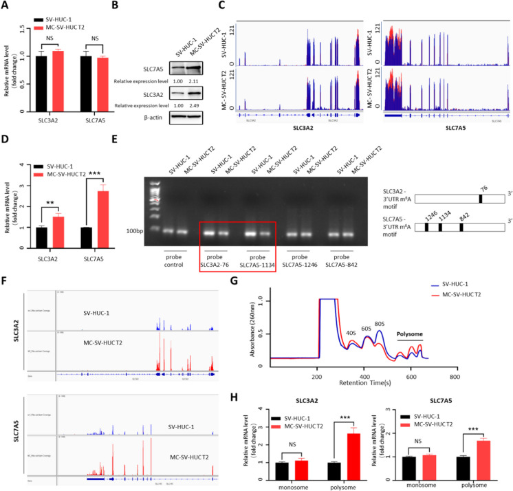 Abstract Image
