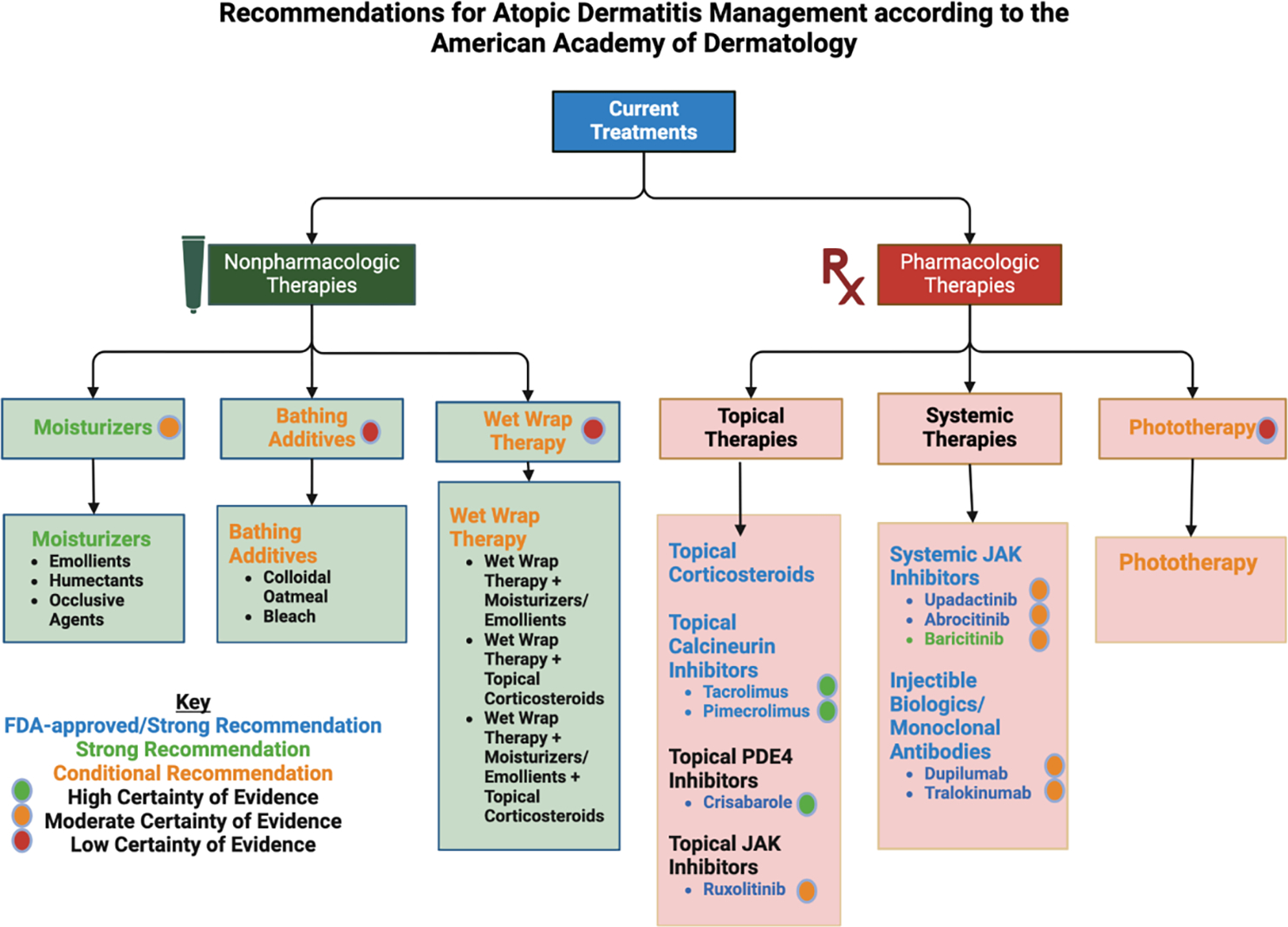 Exploring the Complexities of Atopic Dermatitis: Pathophysiological Mechanisms and Therapeutic Approaches.