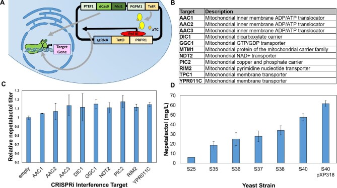 Engineered biosynthesis of plant heteroyohimbine and corynantheine alkaloids in Saccharomyces cerevisiae.